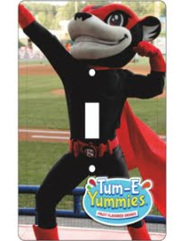 Richmond Flying Squirrels_Lightswitch Plate_4-26-15