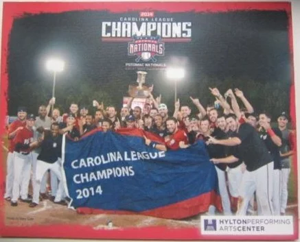 canvas - potomac nationals - washington nationals
