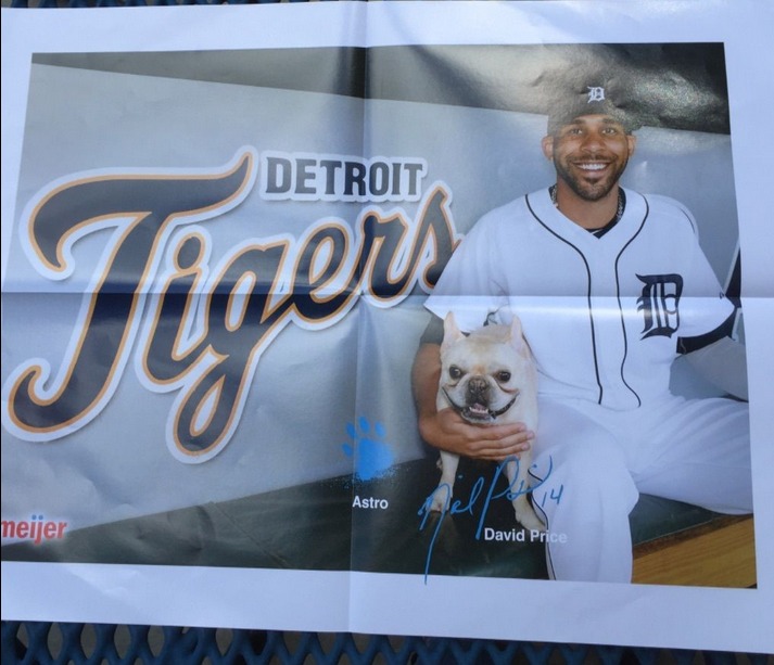 david price poster - detroit tigers