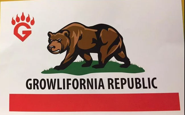 fresno grizzlies mini bear flag - astros - april 9th