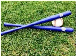 mini bat - rockland boulders - canadian american assoc