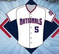 replica jersey - potomac nationals - washington nationals