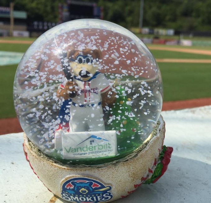 snowglobe - tennessee smokies - chicago cubs