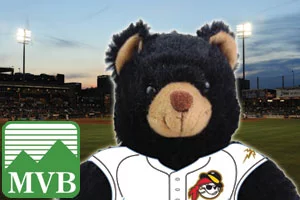 west virginia power black bear - pirates