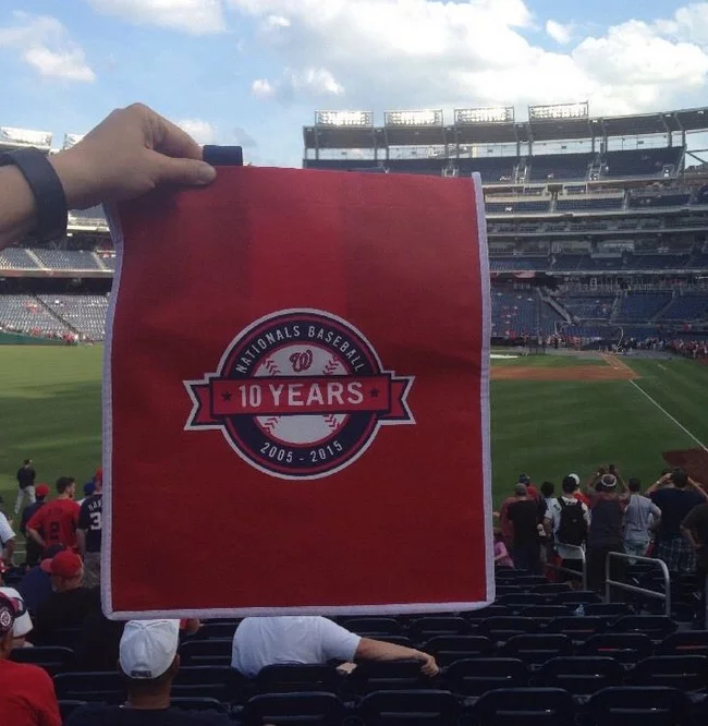 tote bag - washington nationals