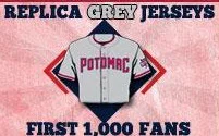 grey replica jersey - potomac nationals - washington nationals