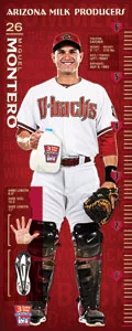 August 11, 2013 Arizona Diamondbacks vs. New York Mets – Growth Chart