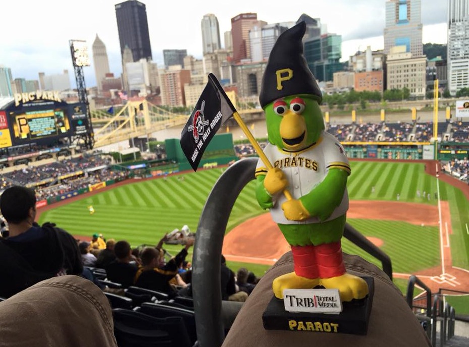 parrot gnome - pittsburgh pirates (2)