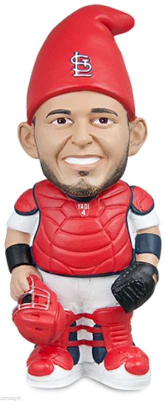 St Louis Cardinals Yadier Molina Garden Gnome 5-20-2016