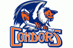 Bakersfield Condors 2016-2017 Promotional Giveaways