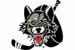 Chicago Wolves 2016-2017 Promotional Stadium Giveaways