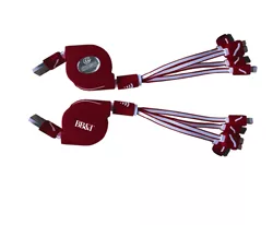 Charlotte Knights Retractable Charger 6-19-2018