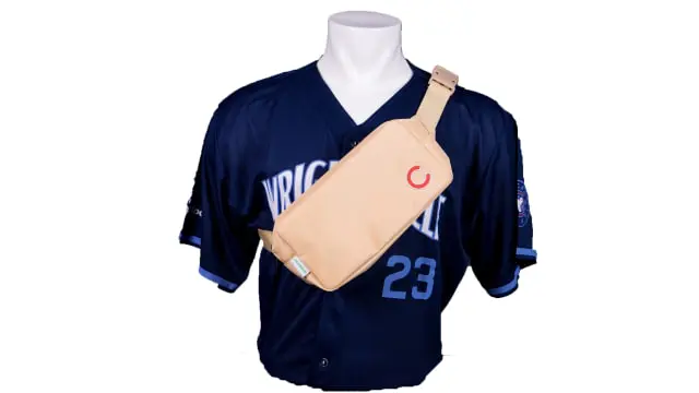Cubs fanny pack shop