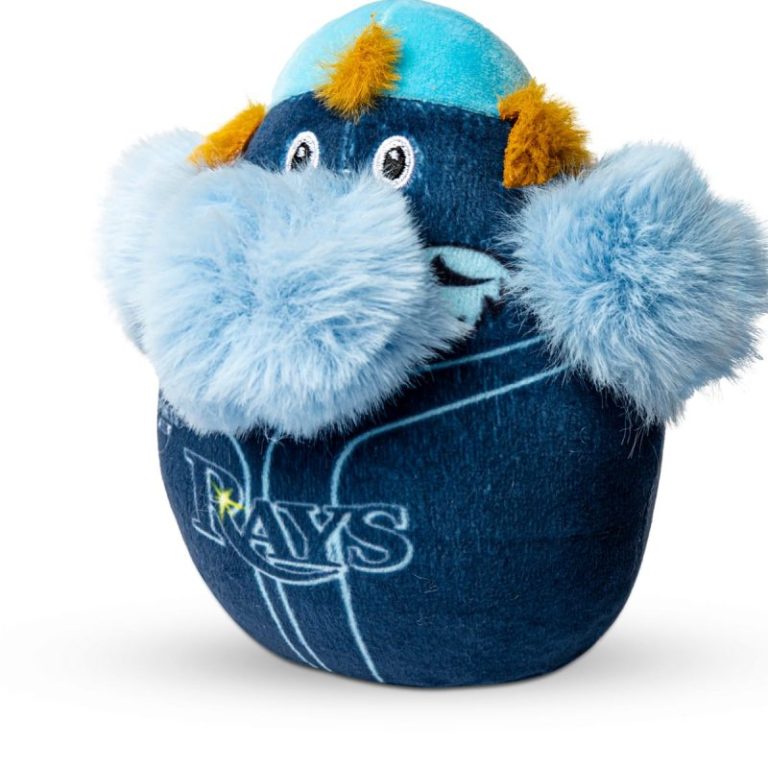 June 11, 2023 Tampa Bay Rays – Raymond Squishy